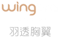 logo_wingbra