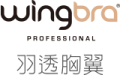 logo_wingbra3